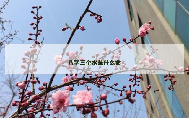 八字三个水是什么命