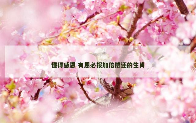 懂得感恩 有恩必报加倍偿还的生肖