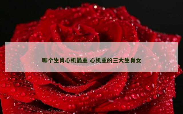 哪个生肖心机最重 心机重的三大生肖女