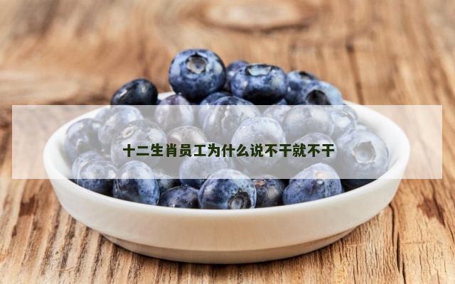 十二生肖员工为什么说不干就不干