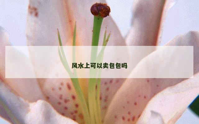 风水上可以卖包包吗