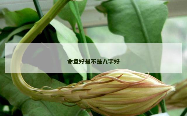 命盘好是不是八字好
