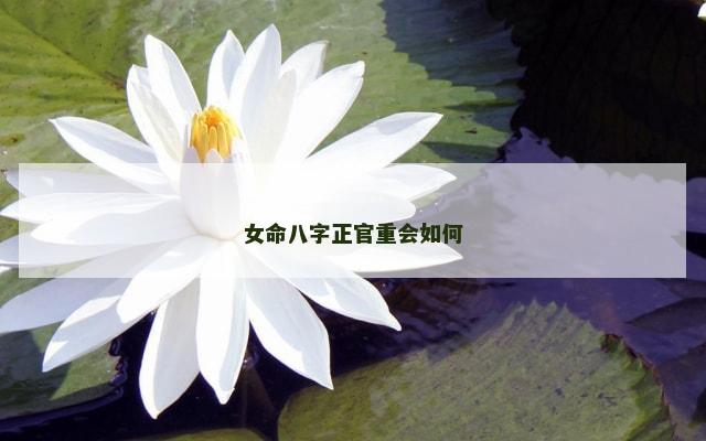女命八字正官重会如何