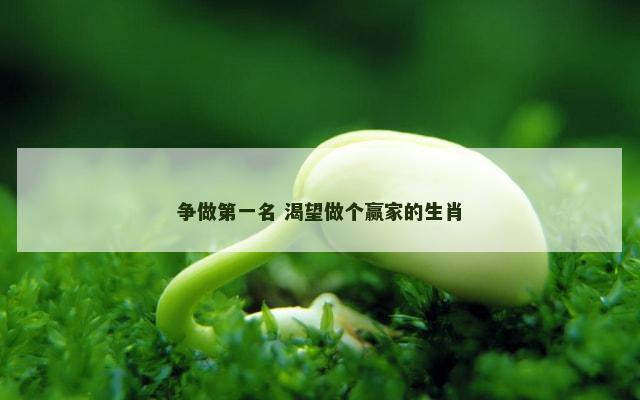 争做第一名 渴望做个赢家的生肖