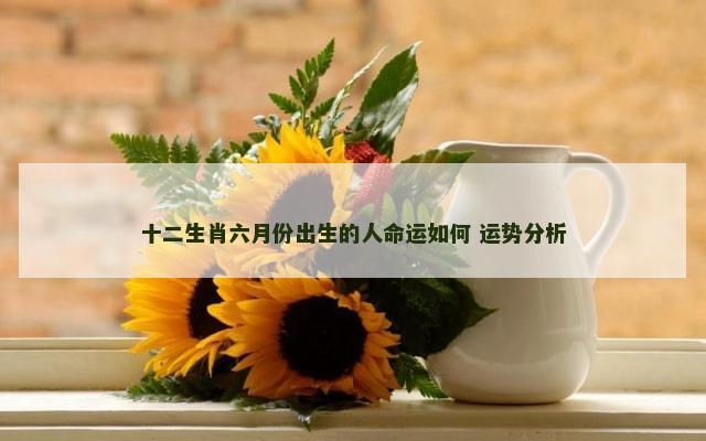 十二生肖六月份出生的人命运如何 运势分析
