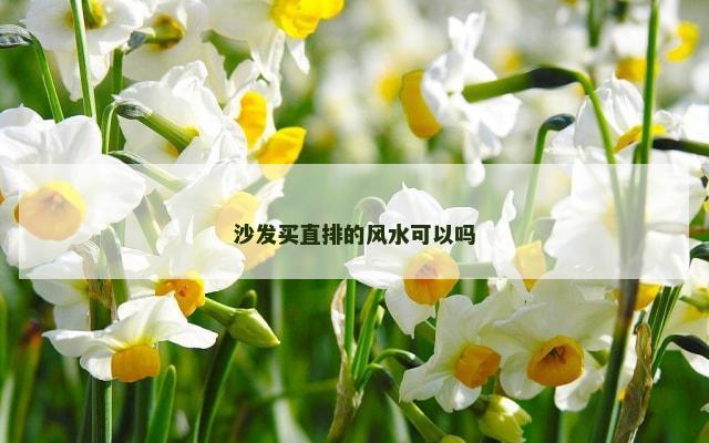 沙发买直排的风水可以吗