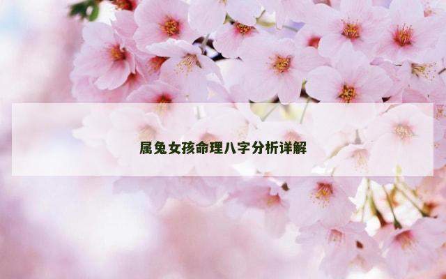 属兔女孩命理八字分析详解