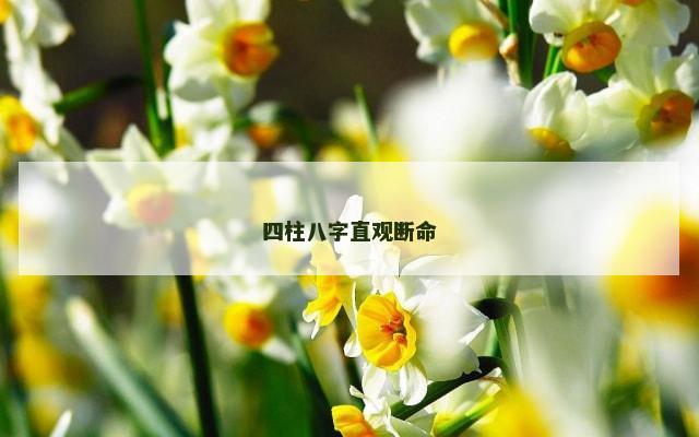 四柱八字直观断命