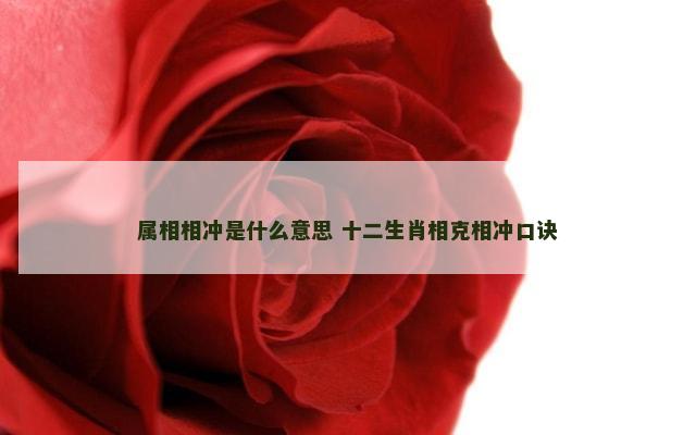 属相相冲是什么意思 十二生肖相克相冲口诀