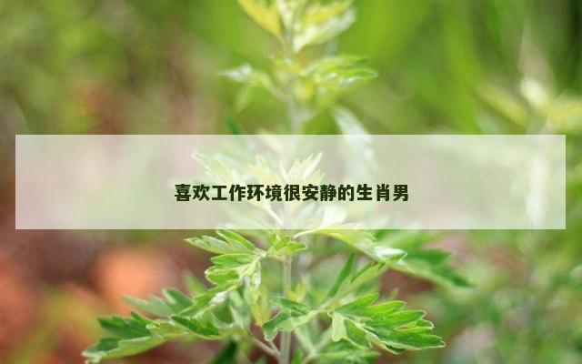 喜欢工作环境很安静的生肖男