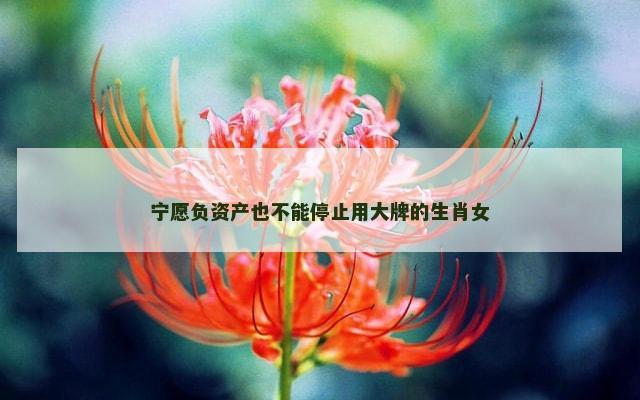 宁愿负资产也不能停止用大牌的生肖女