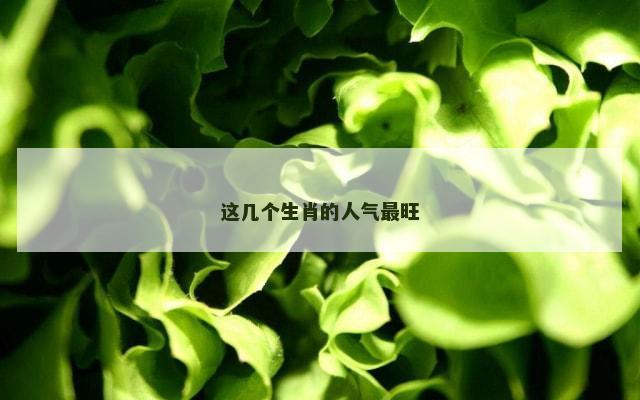 这几个生肖的人气最旺