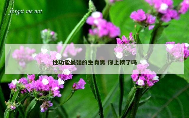 性功能最强的生肖男 你上榜了吗