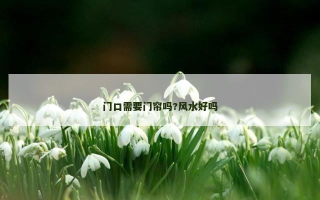 门口需要门帘吗?风水好吗