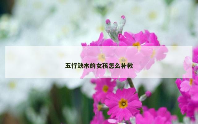 五行缺木的女孩怎么补救