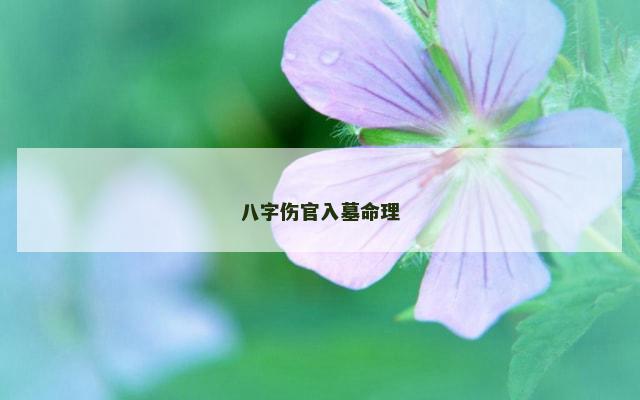 八字伤官入墓命理