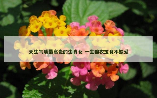 天生气质最高贵的生肖女 一生锦衣玉食不缺爱