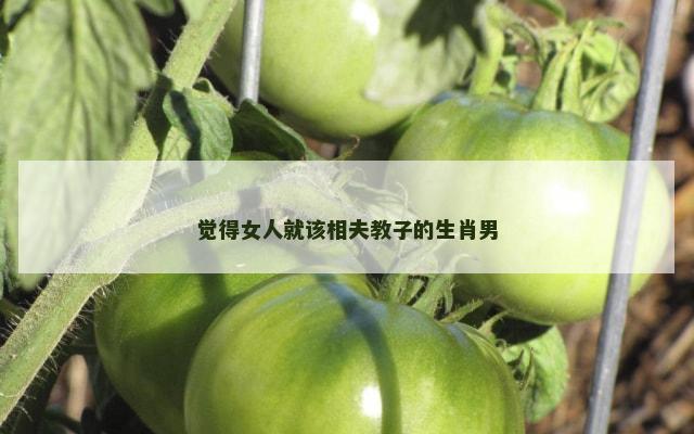 觉得女人就该相夫教子的生肖男