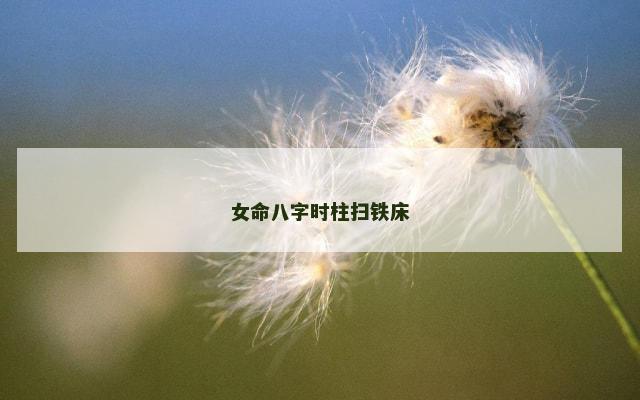 女命八字时柱扫铁床