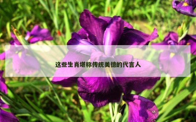 这些生肖堪称传统美德的代言人