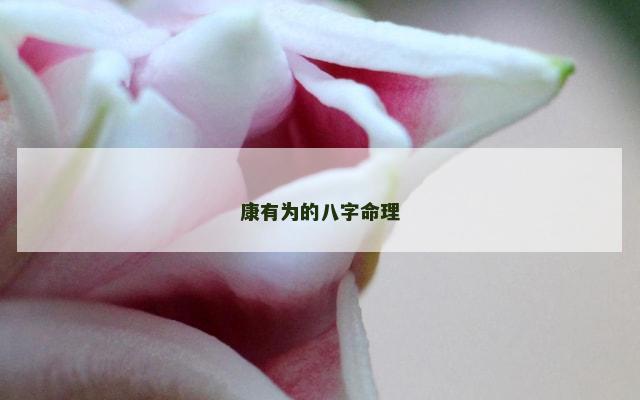 康有为的八字命理