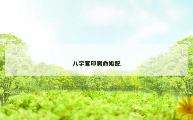 八字官印男命婚配