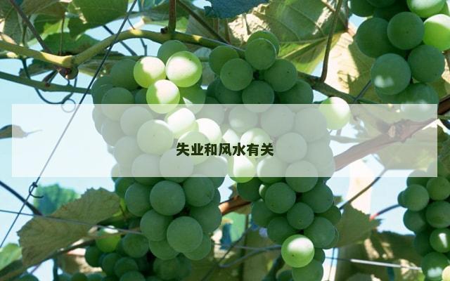 失业和风水有关