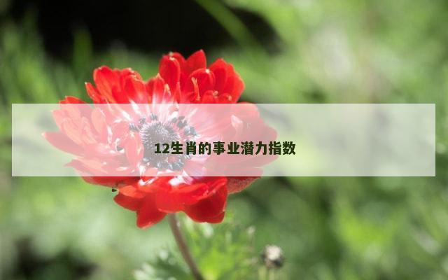 12生肖的事业潜力指数