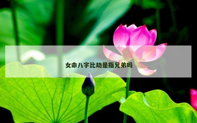 女命八字比劫是指兄弟吗