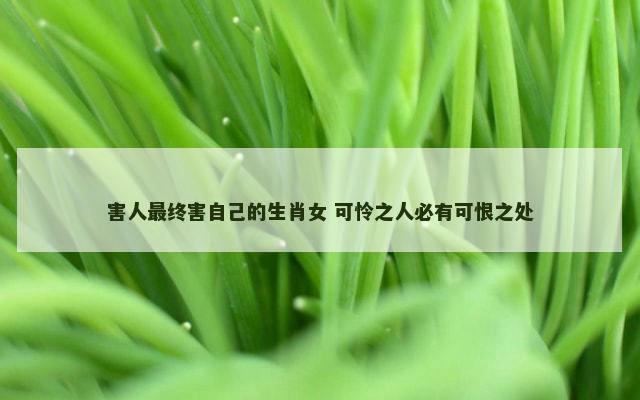 害人最终害自己的生肖女 可怜之人必有可恨之处