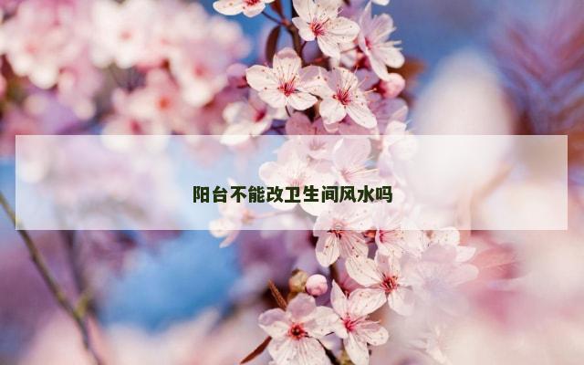 阳台不能改卫生间风水吗