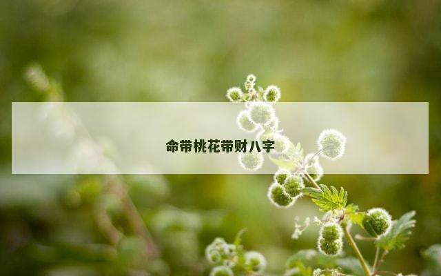 命带桃花带财八字