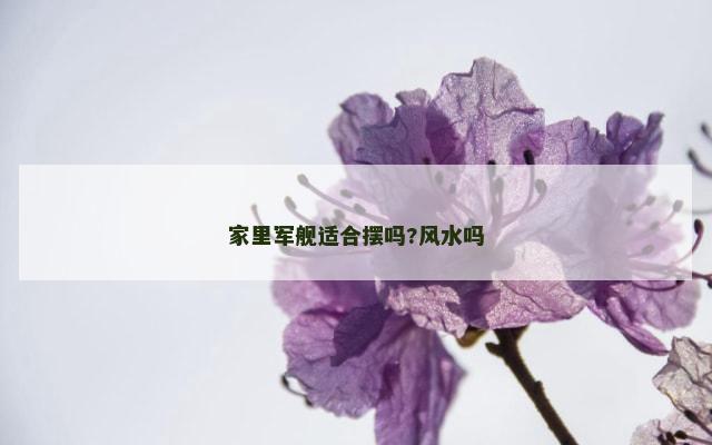 家里军舰适合摆吗?风水吗