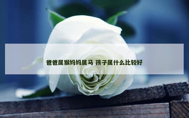 爸爸属猴妈妈属马 孩子属什么比较好