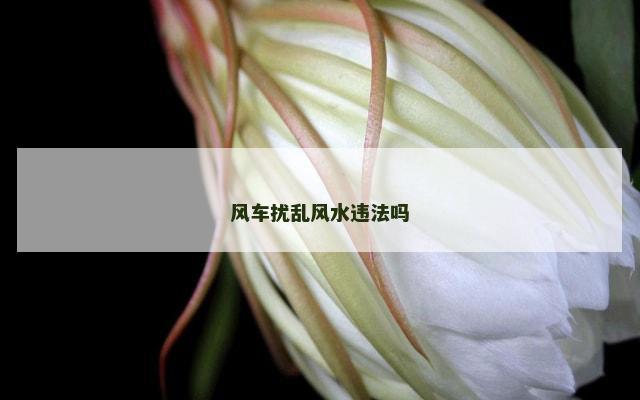 风车扰乱风水违法吗