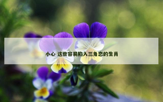 小心 这些容易陷入三角恋的生肖