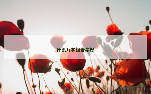 什么八字组合命好