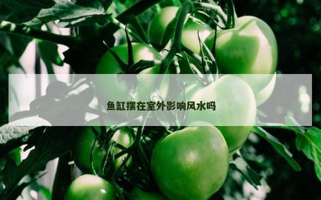 鱼缸摆在室外影响风水吗