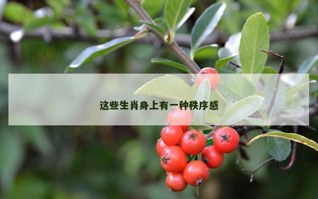 这些生肖身上有一种秩序感