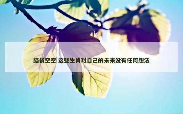 脑袋空空 这些生肖对自己的未来没有任何想法