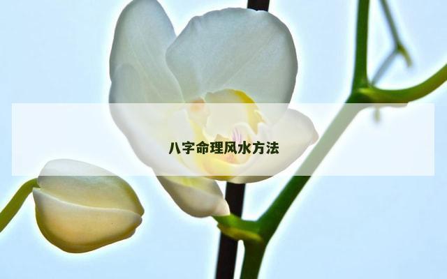 八字命理风水方法