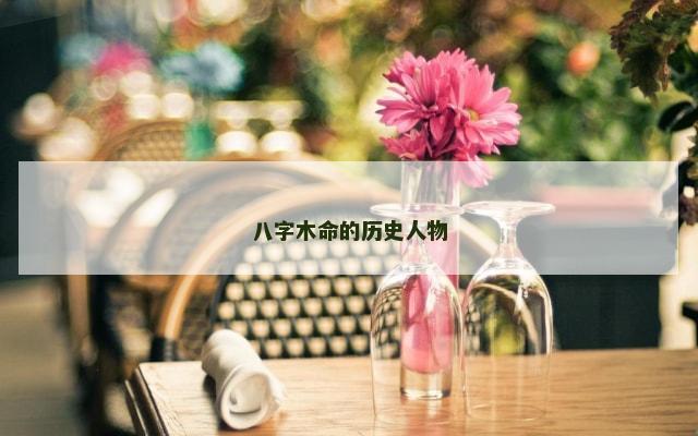 八字木命的历史人物
