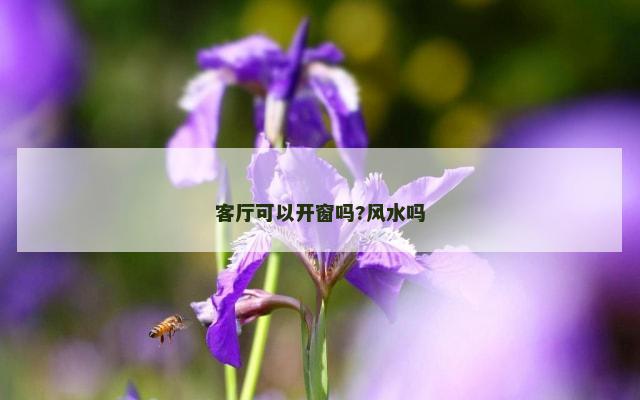 客厅可以开窗吗?风水吗