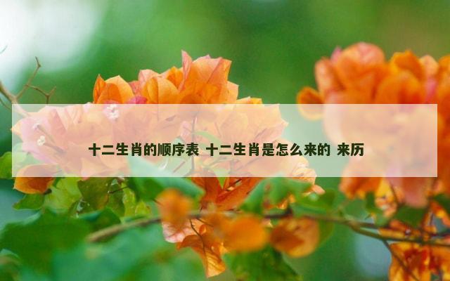 十二生肖的顺序表 十二生肖是怎么来的 来历