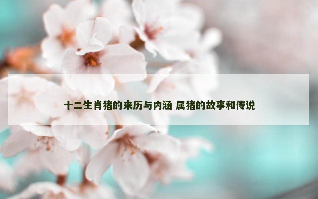 十二生肖猪的来历与内涵 属猪的故事和传说