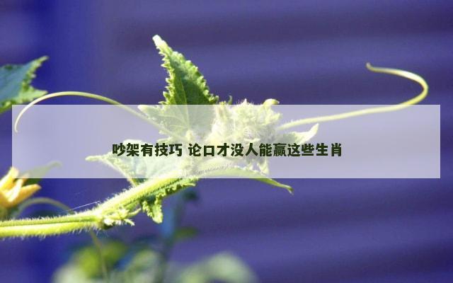 吵架有技巧 论口才没人能赢这些生肖