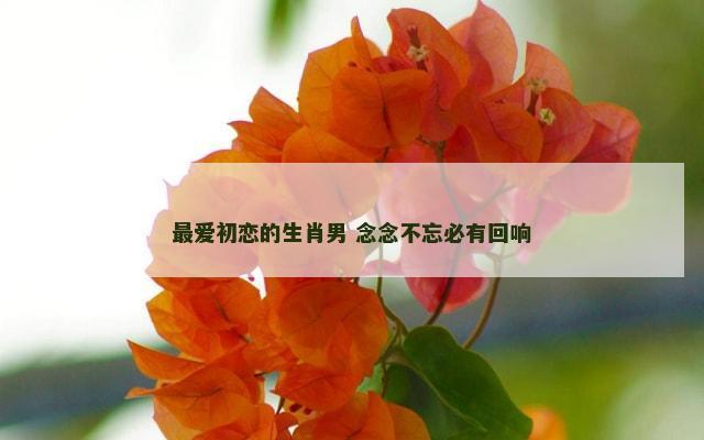 最爱初恋的生肖男 念念不忘必有回响