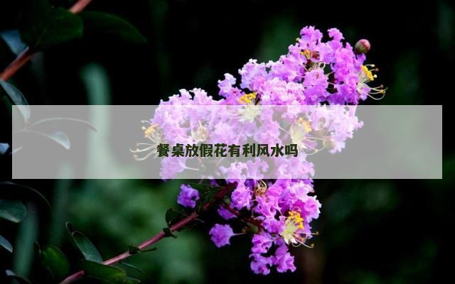 餐桌放假花有利风水吗