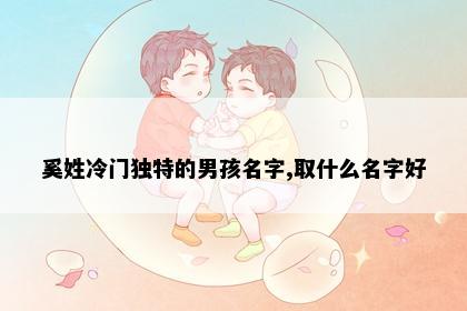 奚姓冷门独特的男孩名字,取什么名字好