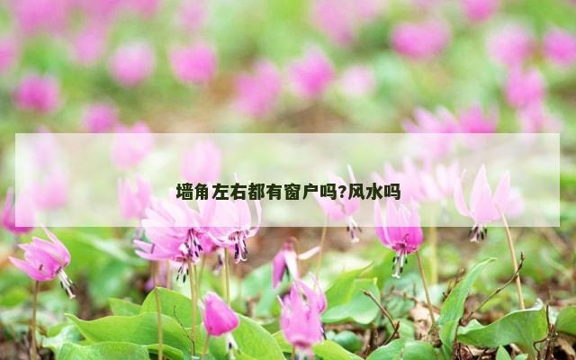 墙角左右都有窗户吗?风水吗